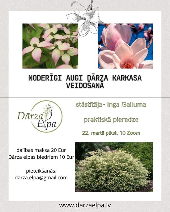 Lekcija Zoom- Noderīgi augi dārza karkasa veidošanā